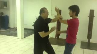 香港 大埔 上水 沙田 詠春拳 陳煜釗師傅 黐手 sifuchanchiu