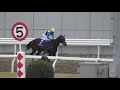 2019 第65回 エンプレス杯（Ｊｐｎii）ウィニングラン 現地映像 プリンシアコメータ