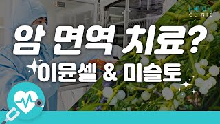 암 면역 치료 - 이뮨셀 & 미슬토