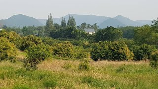 ขายที่ดินโฉนด👈วิวภูเขา⛰สวย ราคาถูก