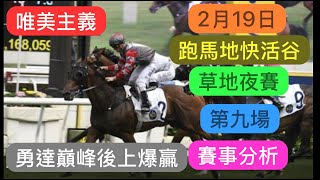 2月19日  跑馬地快活谷草地夜賽  唯美主義 勇達巔峰後上爆贏｜賽馬貼士​​​​​​​｜賽馬賠率​​​​​​​​​​​​​​​​​​​｜跑馬地快活谷草地夜賽