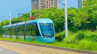 新北捷運淡海輕軌“行武者號”電車停車於輕軌綠山線“淡海新市鎮（V10)”到“濱海沙崙（V09)”站之間-2024/08/31