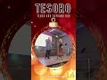 tesoro advent calendar 14