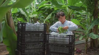 [입점업체 소개] 농부가 직접 담아 보내는 제주의 모든 농산물.....♥ ㅣ 고품질농산물ㅣ제주도농산물 ㅣ직팜ㅣ직팜제주ㅣ탐나오