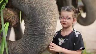 Elephant Jungle Sanctuary Samui