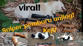 Viral! Sniper Pemburu Anjing!