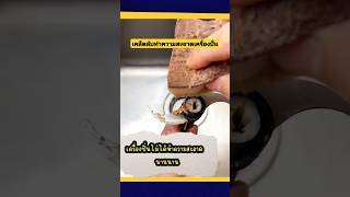 เคล็ดลับทำความสะอาดเครื่องปั่น #sharewithu #tips #ความรู้ #diy #tricks #สาระดีดี #ของใช้ในบ้าน #fyp