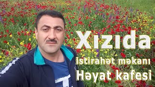 Xızıda Həyat Kafesi.