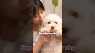 【NewJeans 日本語字幕】実家の愛犬にSuper Shyを踊らせるハニ かわいい #kpop #newjeans #ハニ