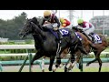 【競馬】2024年jra賞 受賞馬まとめ