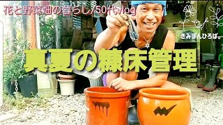 【花と野菜畑の暮らし/50代vlog＃221】真夏の糠床管理/菜園生活/自然栽培