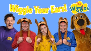 Wiggle Your Ears with Wags the Dog! 🐶 The Wiggles