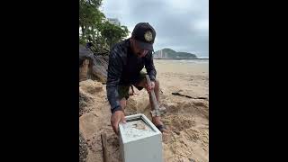 Ele encontrou uma fortuna do tesouro preso dentro do cofre na praia