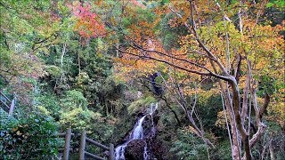 2018　11/14　白滝公園の美しい滝と紅葉　～愛媛県大洲市白滝～