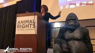 Animal Rights in the Age of Trump | Jane Velez-Mitchell AR2017