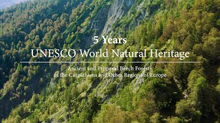 UNESCO World Natural Heritage Beech Forests