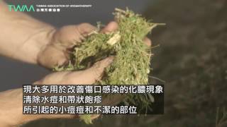 台灣芳療協會 茶樹精油