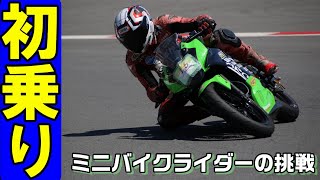 250でNSF100に煽られる