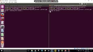 Echo Server Demo