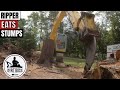 Pulling Stumps with a Ripper on a Kobelco SK160 Excavator