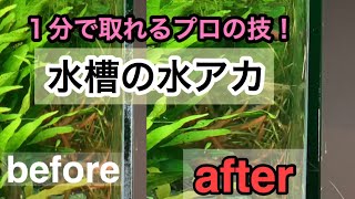 【水槽に付く白い水垢は1分で取れます！】頑固な水あかを綺麗に取ろう!