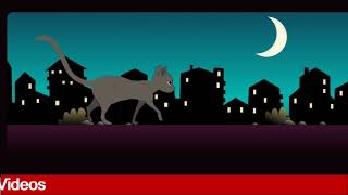 Create Cat Walking Animation With Html And Css | Techie Tutorial