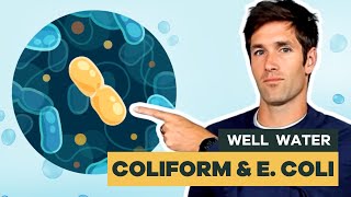 Is Coliform Bacteria Common in Well Water?