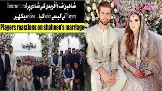 Shaheen Shah Afridi got married with Shahid afridi's daughter ansha afridi| watch video