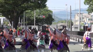 神羅卍翔（よさこいinおいでん祭2014）②