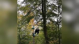 Rückblick: Ausflug in den Kletterwald nach Speyer