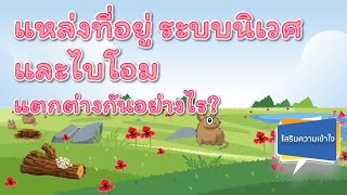 แหล่งที่อยู่ ระบบนิเวศ และไบโอม แตกต่างกันอย่างไร