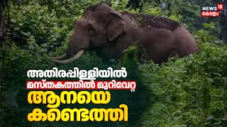 അതിരപ്പിള്ളിയിൽ മസ്തകത്തിൽ മുറിവേറ്റ ആനയെ കണ്ടെത്തി;വിദഗ്ധ ചികിത്സ ഉറപ്പാക്കും|Athirappilly Elephant