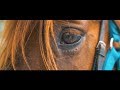 Gait To Freedom | SPURS Therapeutic Riding Center Documentary