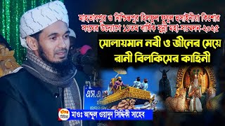 মাওঃ আব্দুল ওয়াদুদ সিদ্দিকী মাহতাবপুর ও নিশ্চিন্তপুর হিলফুল ফুযুল হুসাইনীয়া সংঘ,বানিয়াচং,হবিগঞ্জ।