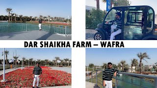 DAR SHAIKHA FARM WAFRA