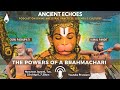 The Powers Of A Brahmachari (1/2) - with Guru Pashupati | Ancient Echoes