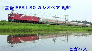 EF81 80 カシオペア 返却 ヒガハス 2022.6.20