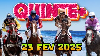 Découvrez le Secret pour Gagner au Quinté+ du 23/02/2025 | BravoTurf