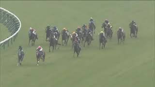 2020 JRA The Oka Sho Japanese 1000 Guineas