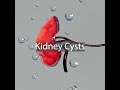 Kidney cysts in under 60 seconds