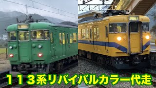 【普通電車】113系リバイバルカラーが代走で走ってたので撮影してきた！！【JR胡麻駅】【2024/11/23】