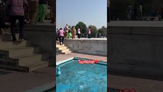 #tajmahal #agra #petha #trending #shorts #viral #cookroamrecord #love #emotional #tajnagri