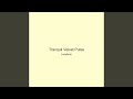 Tranquil Velvet Pulse