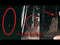 PUAKA HUTAN BOTANI - API KELUAR Di Pokok | Paranormal DZP Dauz | KREW DIRASUK TERUK SAMPAI TERAPUNG!