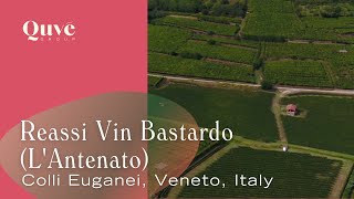 [Quvé Spotlight] Reassi Vin Bastardo (L'Antenato) 2017, Colli Euganei, Veneto, Italy