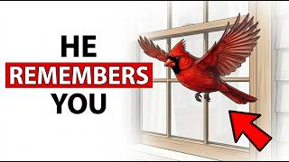 The Bird That Remembers Your Face (And Has Been Watching You for Months)