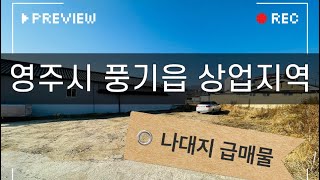 300 / 영주시 풍기읍 / 일반상업지역 토지 / 풍기의중심 시내권에 위치한자리 풍기역 풍기시내 학군