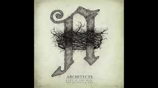 Architects - Even If You Win, You're Still A Rat