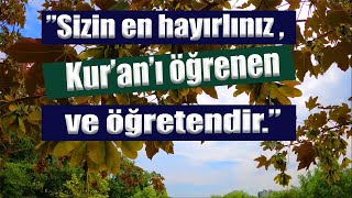 Hz. Muhammed(S.A.V.)'in Hadisleri-4-”Sizin en hayırlınız , Kur’an’ı öğrenen ve öğretendir.”