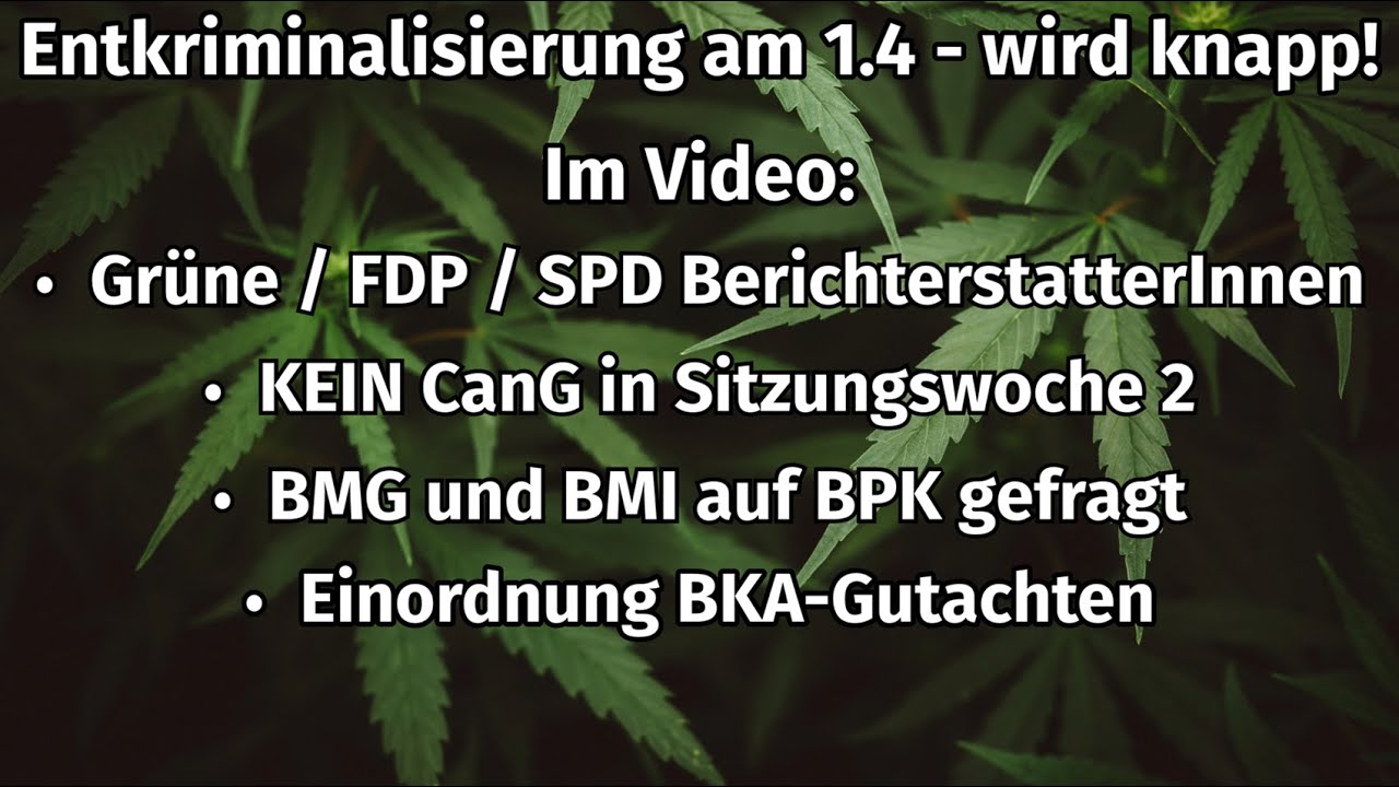 Entkriminalisierung 01.04? Update CanG Berichterstatter / BMG-BMI / BKA ...